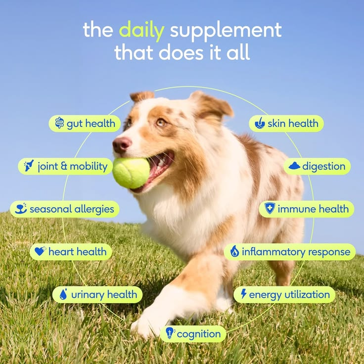 Dog supplement benefit map static